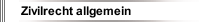 Zivilrecht allgemein